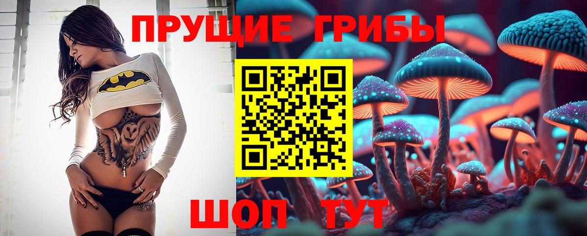 Псилоцибиновые грибы Magic Shrooms Грозный