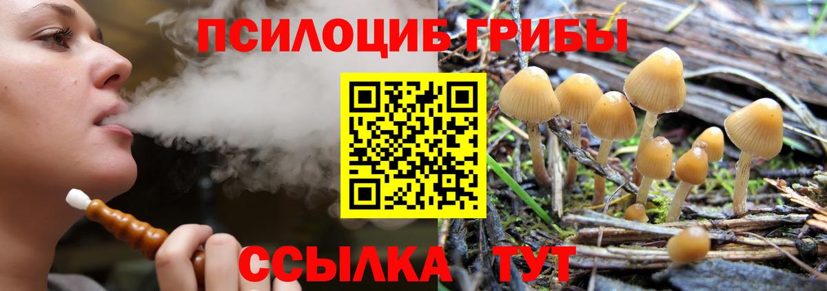 Грозный  Галлюциногенные грибы MAGIC MUSHROOMS  Вход с VPN  где можно купить   Псилоцибиновые грибы Cubensis 